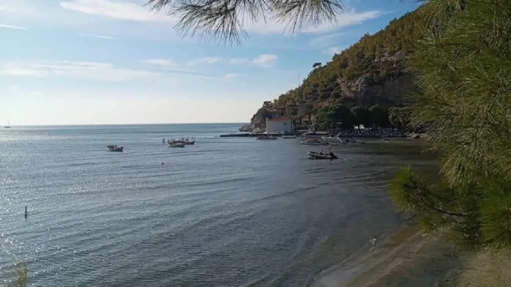 aydin soke karina 2 - Marmara Bölge Gazetesi