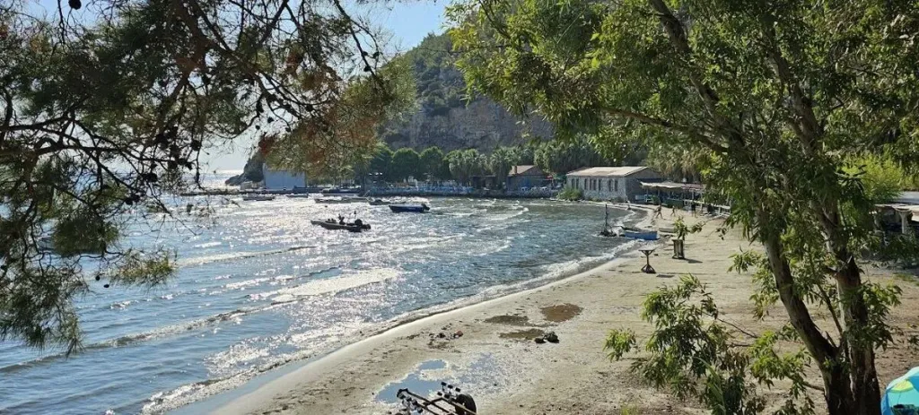 aydin soke karina 3 - Marmara Bölge Gazetesi