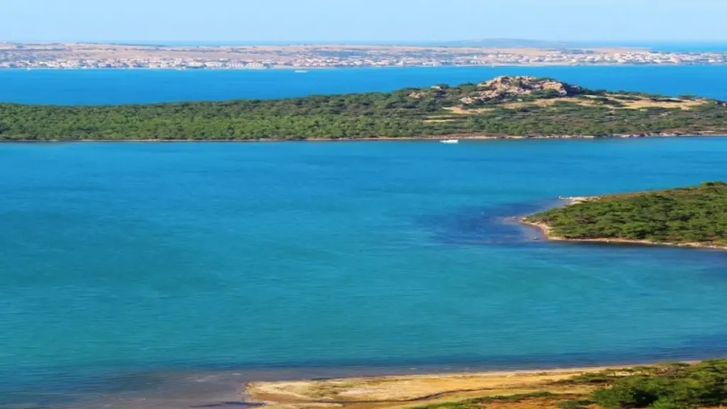 ayvalik 49585 - Marmara Bölge Gazetesi