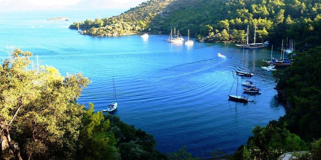 Kalabalıktan Uzak, Doğayla İç İçe Bir Durak bedri rahmi koyu.jpg - Marmara Bölge Gazetesi