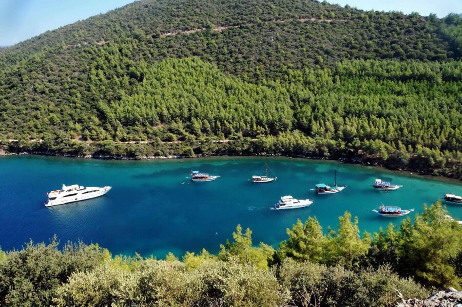 bodrum mazi EWSIFPS54FT5VTTNPUBVLSXVHWNA2B 1 - Marmara Bölge Gazetesi