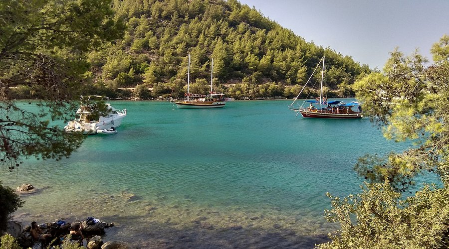 Doğayla Baş Başa Kalabileceğiniz Eşsiz Bir Sahil caption 29 - Marmara Bölge Gazetesi