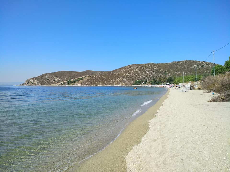 cinar koyu 1 - Marmara Bölge Gazetesi