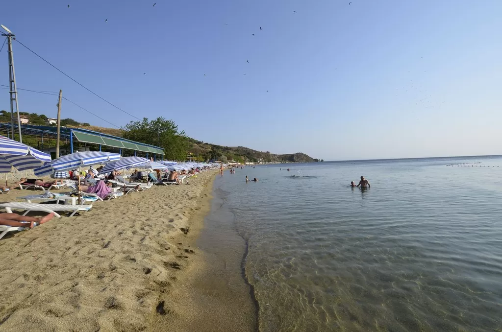 Kamp Tutkunlarının Balıkesir’deki Vazgeçilmez Rotası cinar koyu - Marmara Bölge Gazetesi