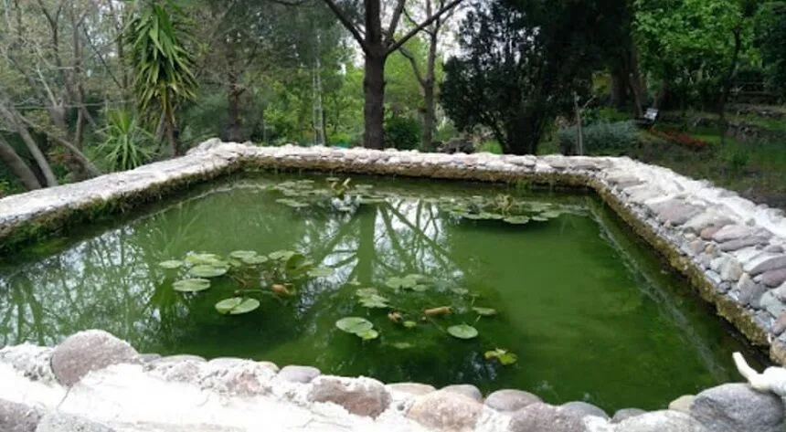 İzmir’in huzurlu ilçesi Dikili’de, doğayla baş başa kalmak isteyenler için