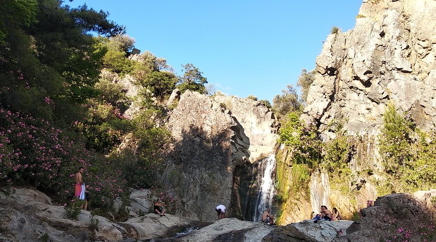 ece caglayani - Marmara Bölge Gazetesi