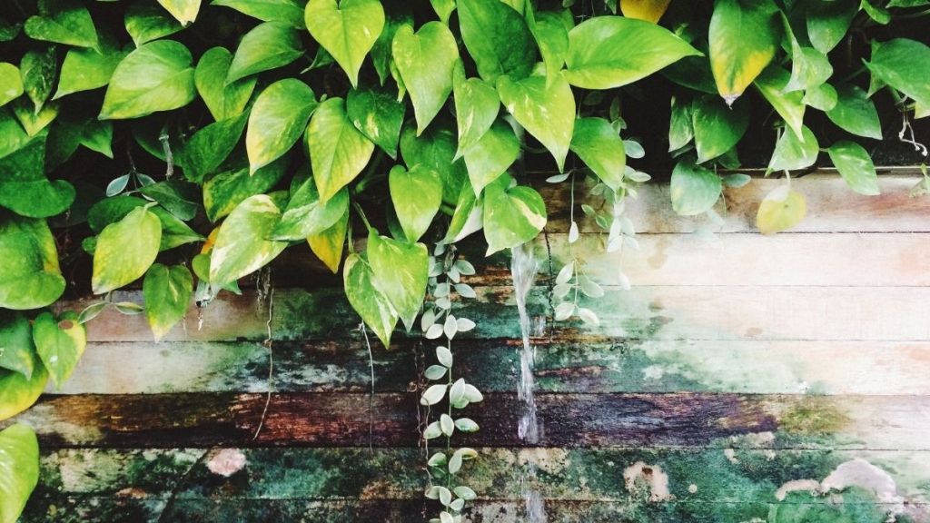 haber gorseli 2025 10 01T150357.673 - Marmara Bölge Gazetesi