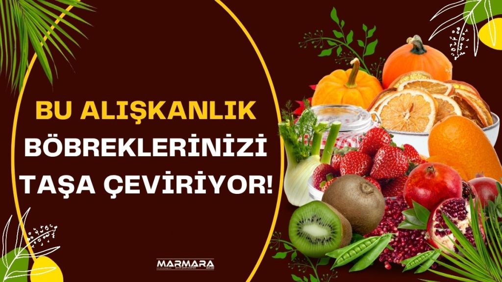 Prof. Dr. Canan Karatay, YouTube kanalında yaptığı açıklamada böbrek taşlarının