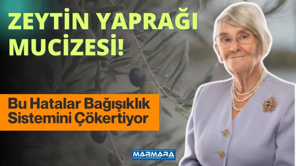 YouTube kanalında konuşan Prof. Dr. Canan Karatay, zeytin yaprağının sağlık