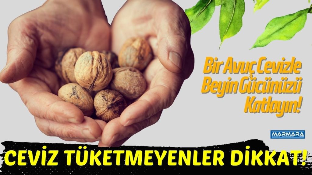 Prof. Dr. Canan Karatay, performansın temelinde E vitamini, ceviz, zeytin