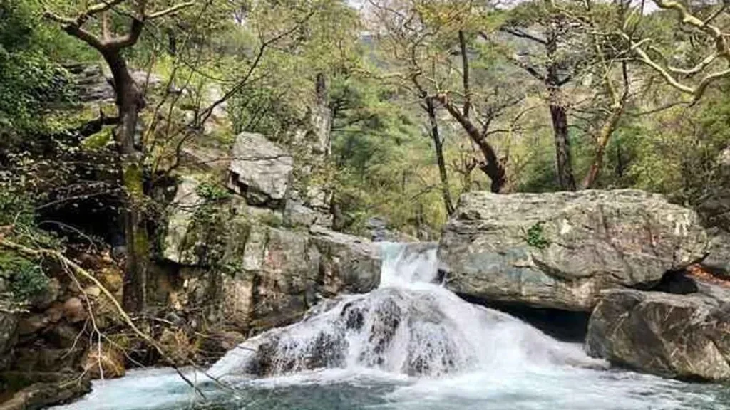 hasan boguldu sutuven selalesi 4 - Marmara Bölge Gazetesi