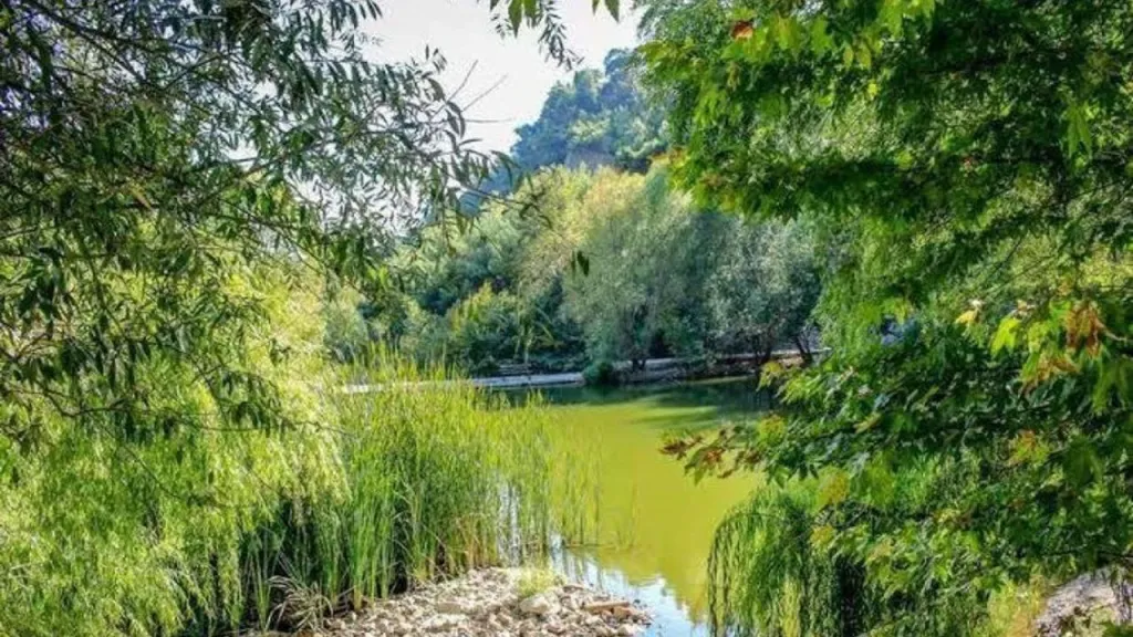 İzmir’de Keşfedilmeyi Bekleyen Saklı Vadi homeros vadisi 2 - Marmara Bölge Gazetesi