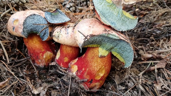 hq720 1 1 - Marmara Bölge Gazetesi