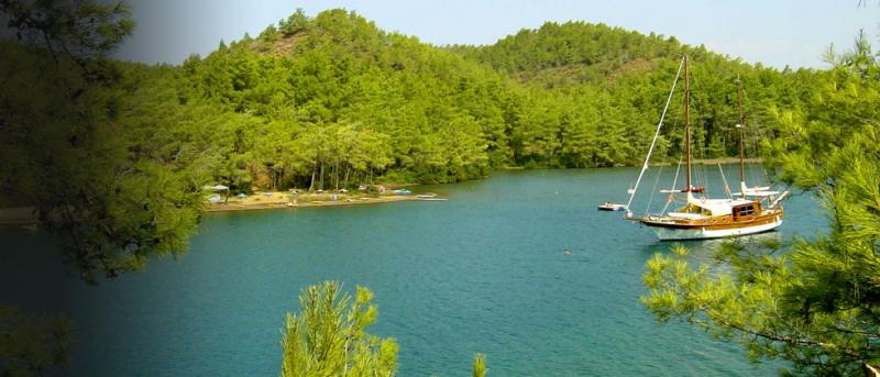 Ücretsiz Giriş! Doğayla Baş Başa Gizli Cennet image 1.png - Marmara Bölge Gazetesi