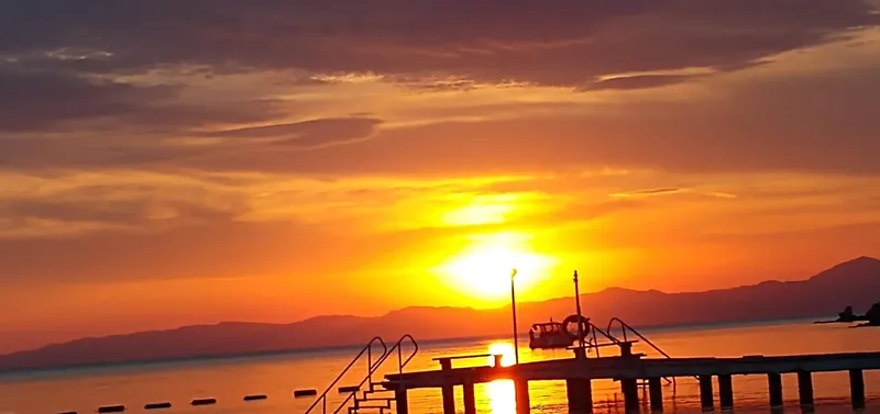 Zeytinliklerin Arasında Gizli Cennet! image 507 - Marmara Bölge Gazetesi