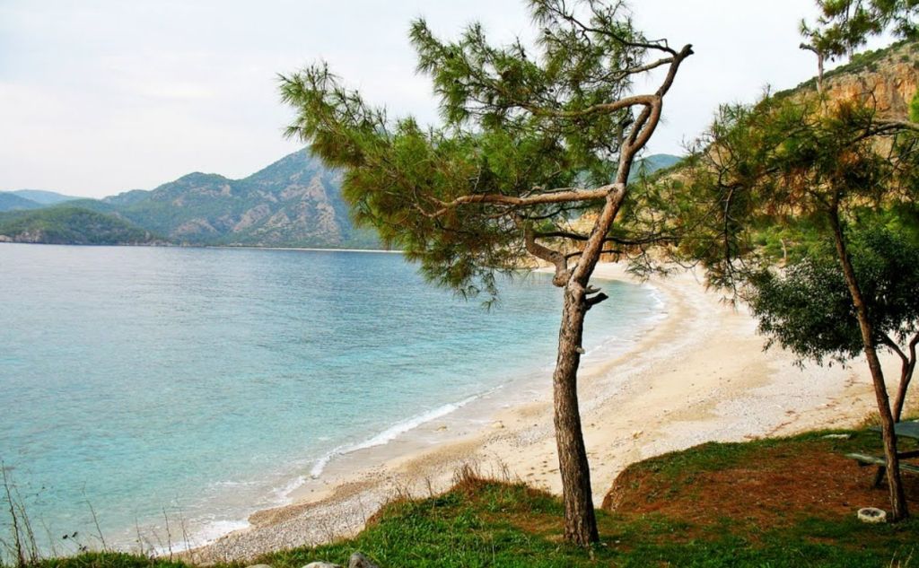 Doğallığını Koruyan Ender Plajlardan Biri kidrak koyu nerededir - Marmara Bölge Gazetesi