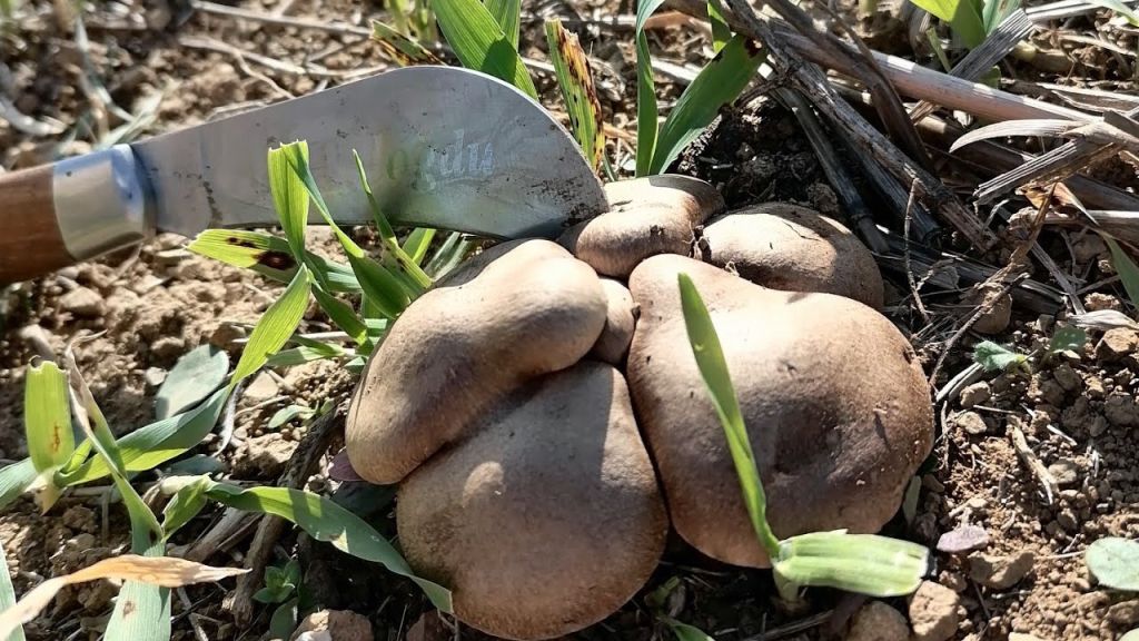 maxresdefault 28 - Marmara Bölge Gazetesi