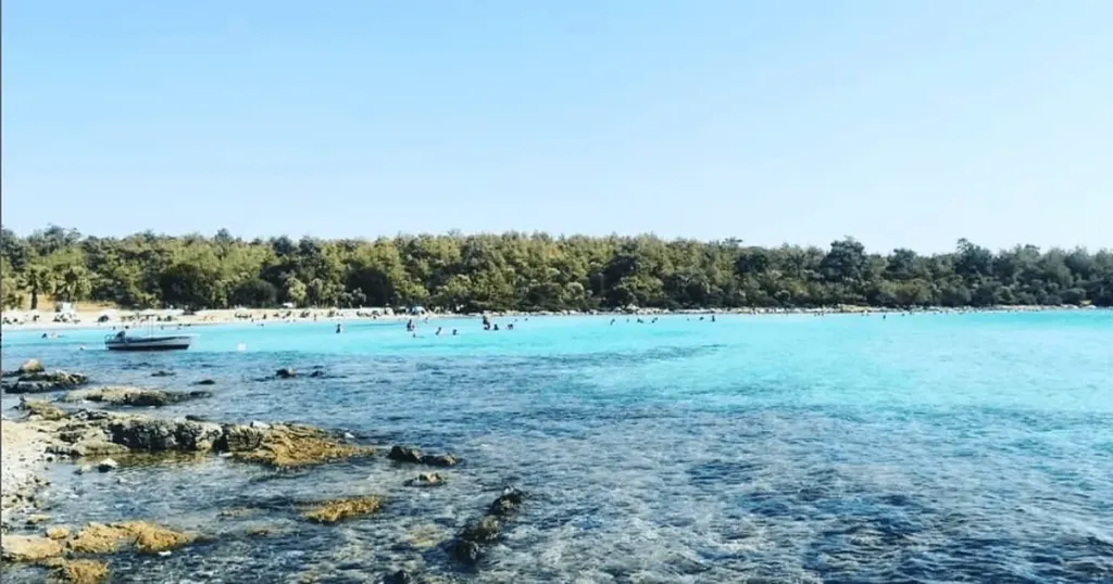 Ege’nin Gizli Nefesi: Doğanın Kalbinde Bir Cennet milas in bir kosesi haydar koyu large - Marmara Bölge Gazetesi