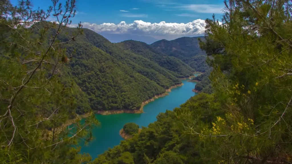 orman 1 - Marmara Bölge Gazetesi