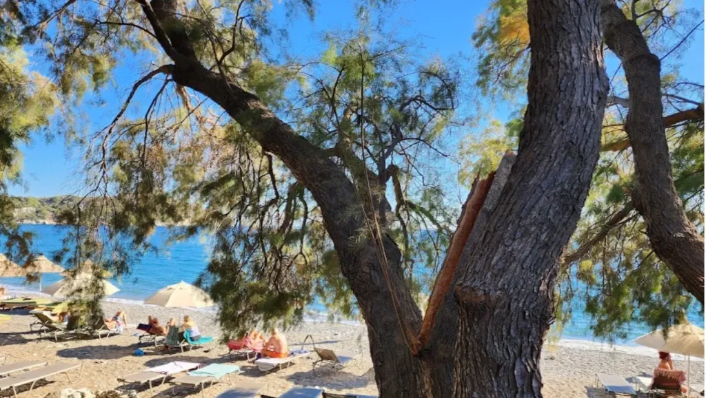 Berrak Sularıyla Huzur Dolu Tatil Noktası ovabuku plaji 1 1 - Marmara Bölge Gazetesi