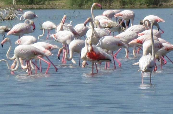 resim 2023 04 17 140241312 - Marmara Bölge Gazetesi