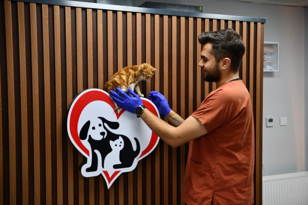 thumbnail balikesirde can dostlar buyuksehir eliyle guvende 1 custom 1 - Marmara Bölge Gazetesi