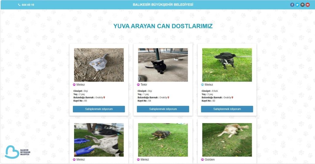 thumbnail balikesirde can dostlar buyuksehir eliyle guvende 4 custom - Marmara Bölge Gazetesi