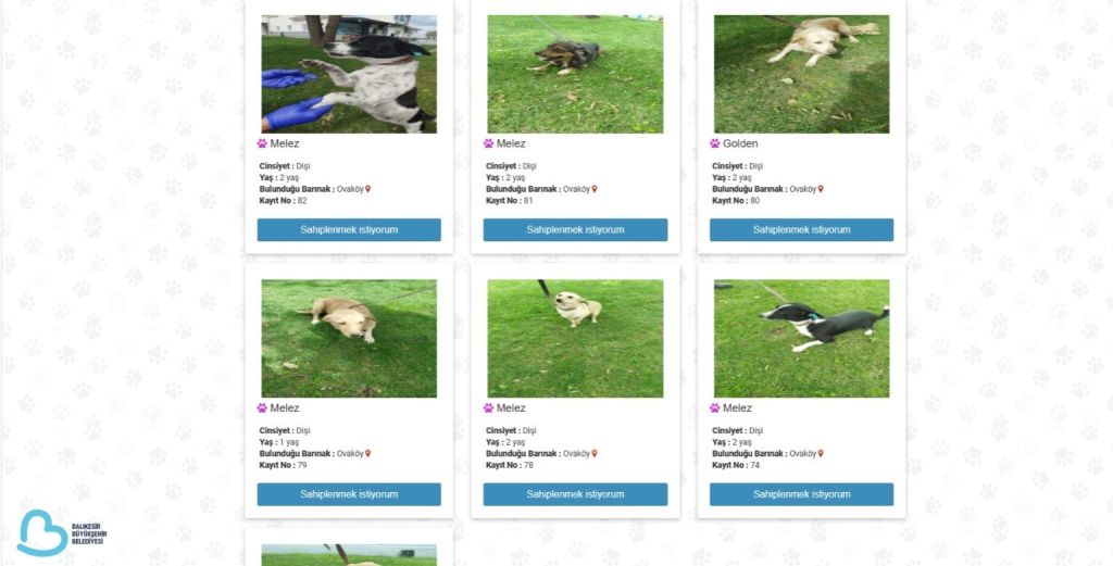 thumbnail balikesirde can dostlar buyuksehir eliyle guvende 5 custom - Marmara Bölge Gazetesi