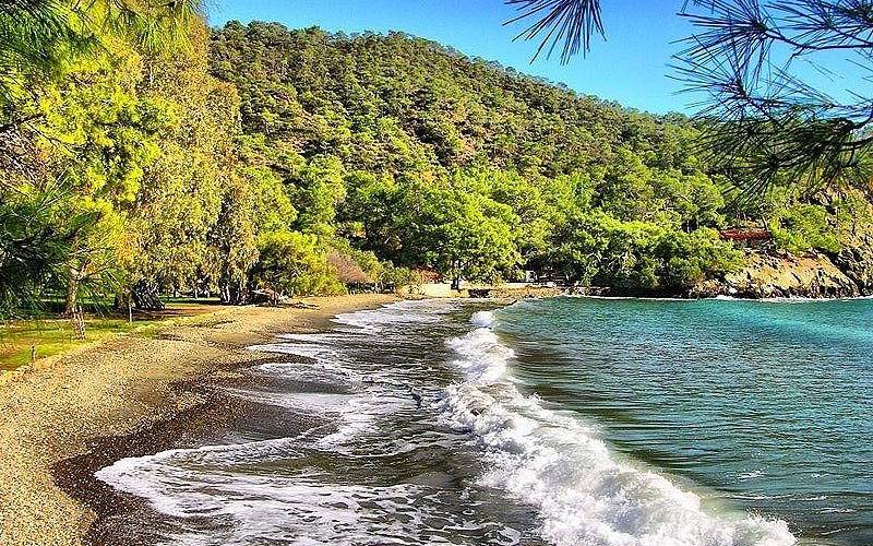 yesil ile mavinin kucaklastigi - Marmara Bölge Gazetesi