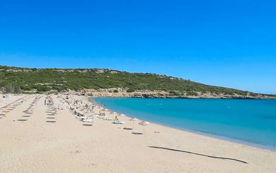 1648258763 bb9cf08682d6580f90e525e30de5809b.jpg - Marmara Bölge Gazetesi