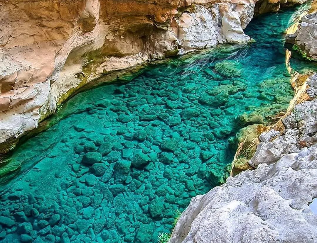 184305726 10157584671801621 5902026832704046874 n - Marmara Bölge Gazetesi