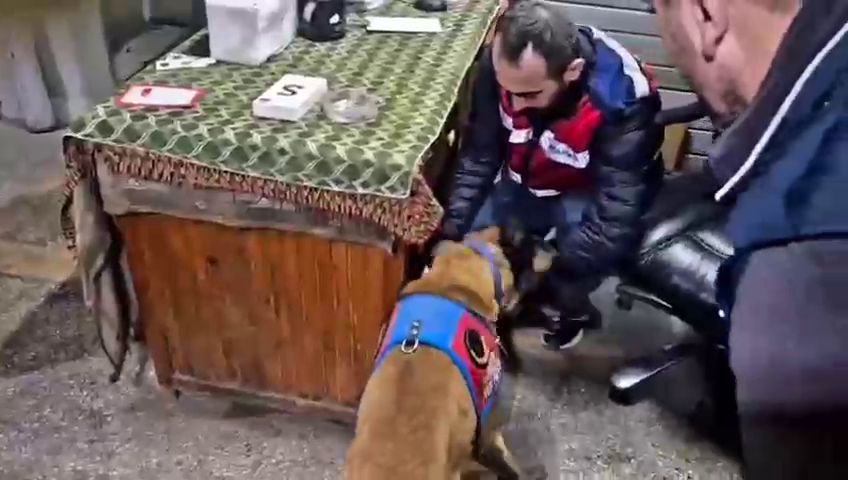 2 - Marmara Bölge Gazetesi