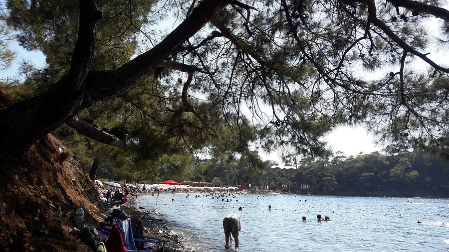 Tatilcilerin Yeni Gözdesi: Berrak Deniziyle Büyüleyen Sahil 20180817 163755 largejpg - Marmara Bölge Gazetesi