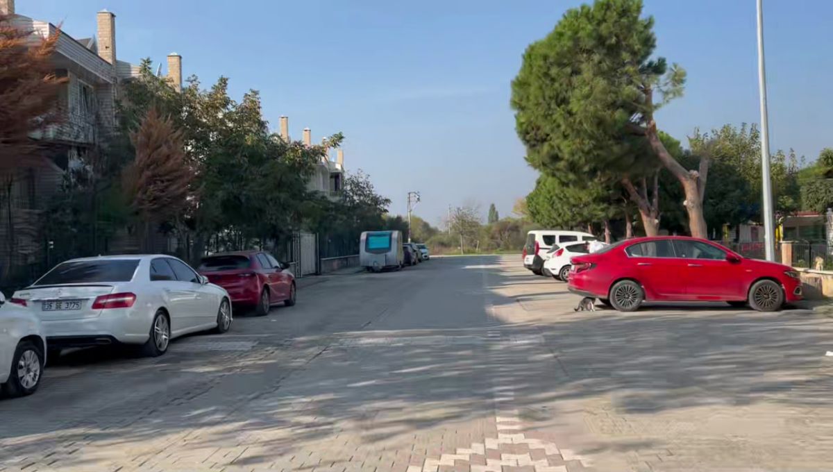 29602417 d4a4 4c1a b8a8 c43d05349147 - Marmara Bölge Gazetesi