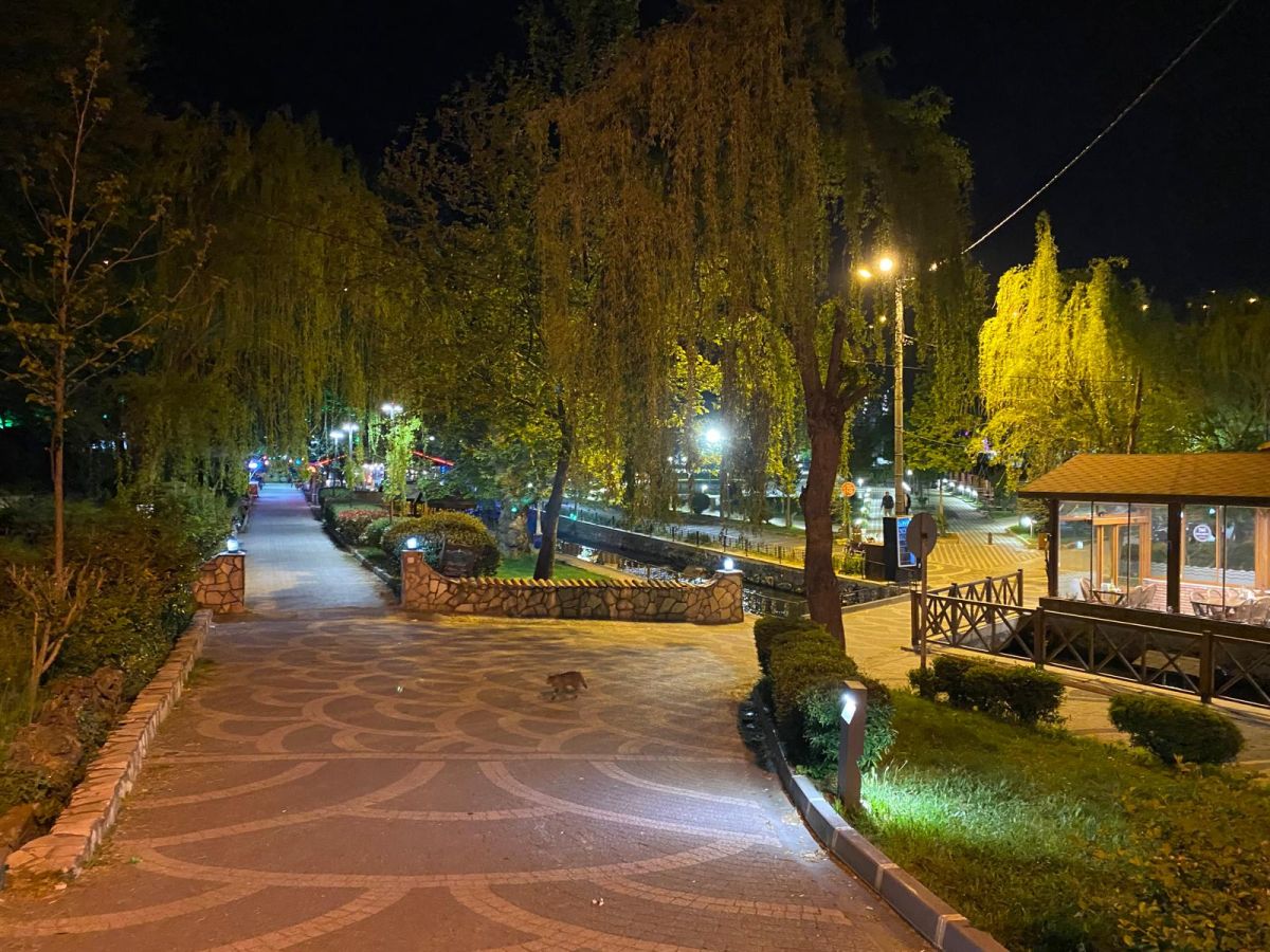 Balıkesir’de Suyun İçinden Doğa Fışkırıyor! 4a3889d7 4c13 4542 aaea c6479fa6a457 - Marmara Bölge Gazetesi