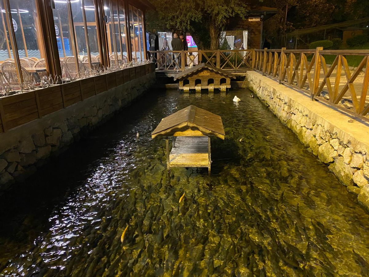 Balıkesir’in doğasıyla öne çıkan ilçesi Dursunbey’de bulunan Suçıktı Mesire Alanı,