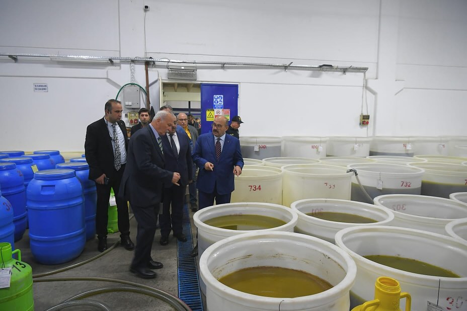 Burhaniye’de Zeytinyağı Üretim Tesisinde İnceleme! 574344152 18313437301222704 1995401285652764812 n - Marmara Bölge Gazetesi