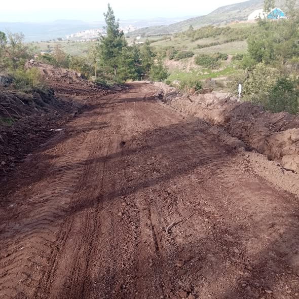 Balıkesir’in Bigadiç ilçesinde sokak hayvanlarına güvenli bir yaşam alanı kazandırmak