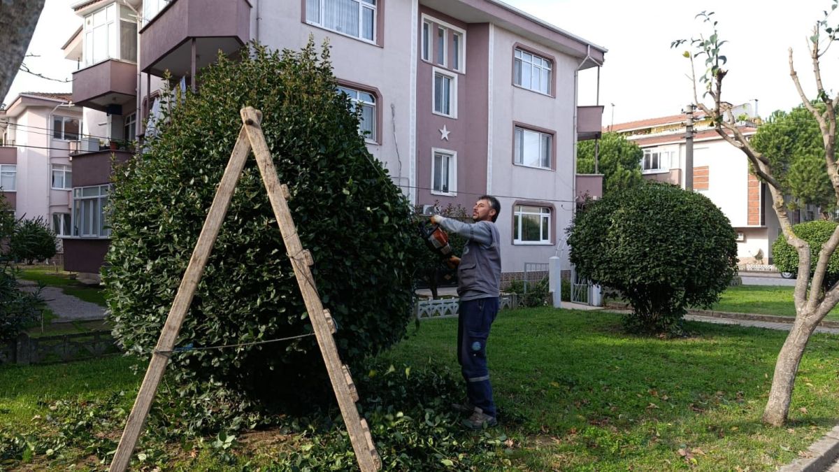 576637149 1278829877620380 1577927791097549922 n - Marmara Bölge Gazetesi