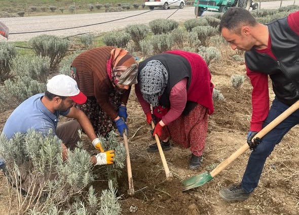 Bigadiç Belediyesi, şehir estetiğine katkı sunan peyzaj çalışmalarına hız kesmeden