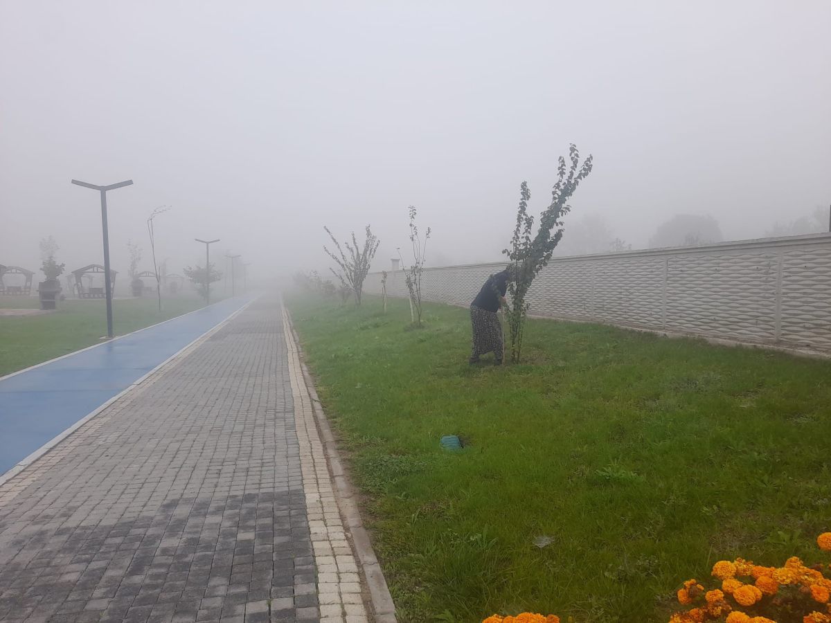 577806411 1153388816994114 1610278469589637568 n - Marmara Bölge Gazetesi