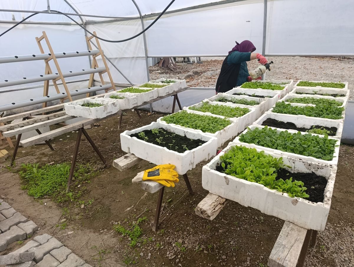 577880473 1153388896994106 1132428884754032141 n - Marmara Bölge Gazetesi