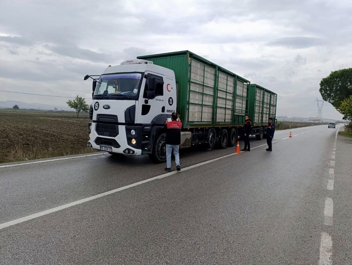 579167792 1237333368437523 801810135857894851 n - Marmara Bölge Gazetesi