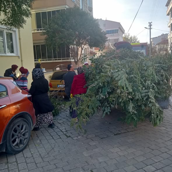 583108107 122219610674300867 5563428777995938629 n - Marmara Bölge Gazetesi