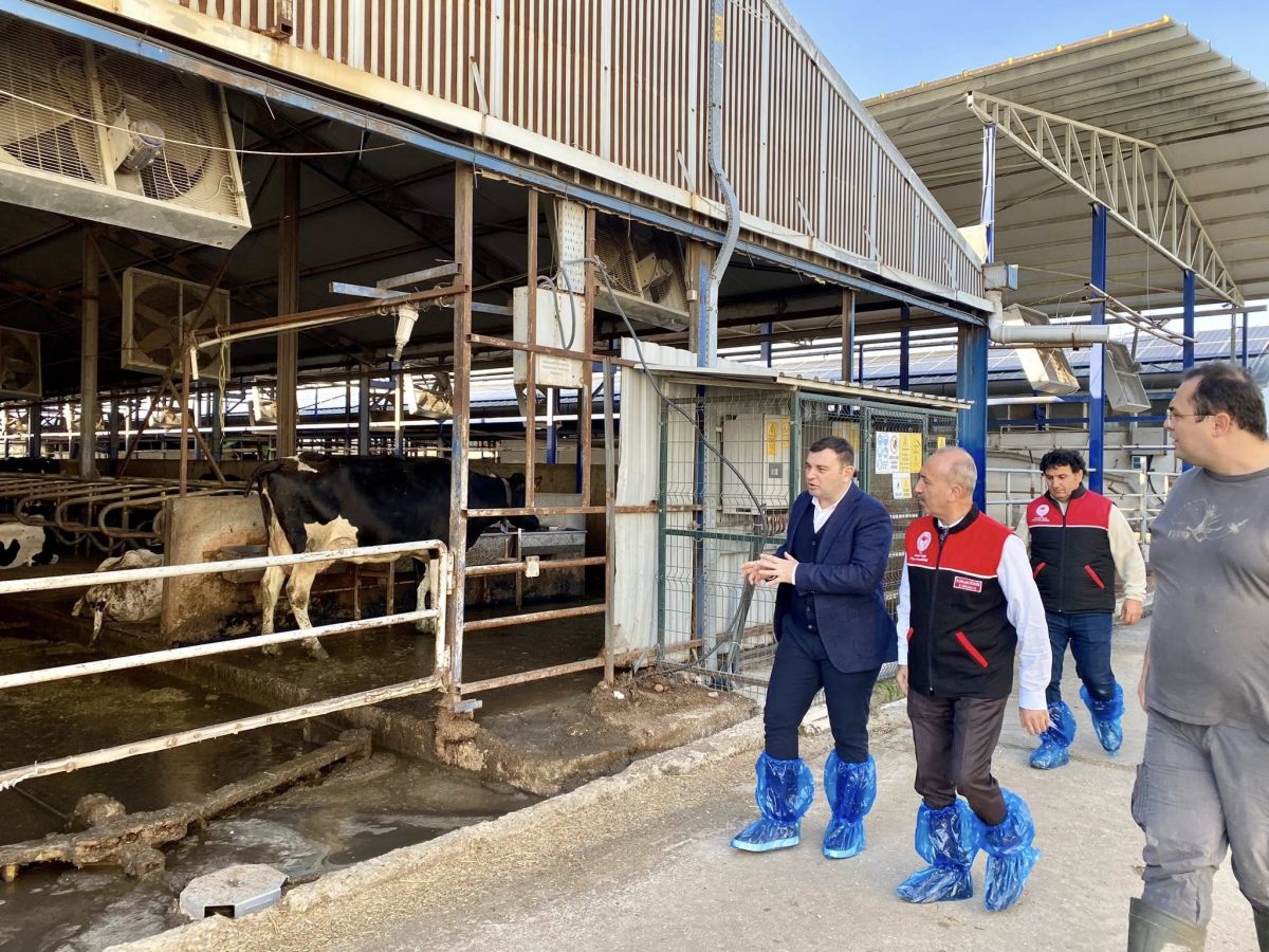 Balkesir’de Şap Tehlikesi Kapıya Dayandı! 583923765 1246600027510857 3171132596590283255 n - Marmara Bölge Gazetesi