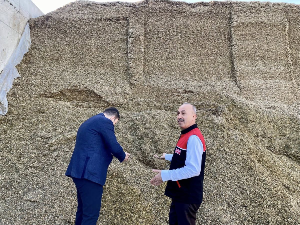 Balkesir’de Şap Tehlikesi Kapıya Dayandı! 585099518 1246600134177513 584233932773580824 n - Marmara Bölge Gazetesi