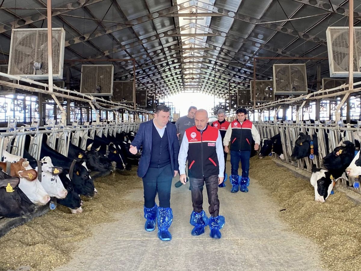 Balkesir’de Şap Tehlikesi Kapıya Dayandı! 585138536 1246600190844174 7587034640649747961 n - Marmara Bölge Gazetesi