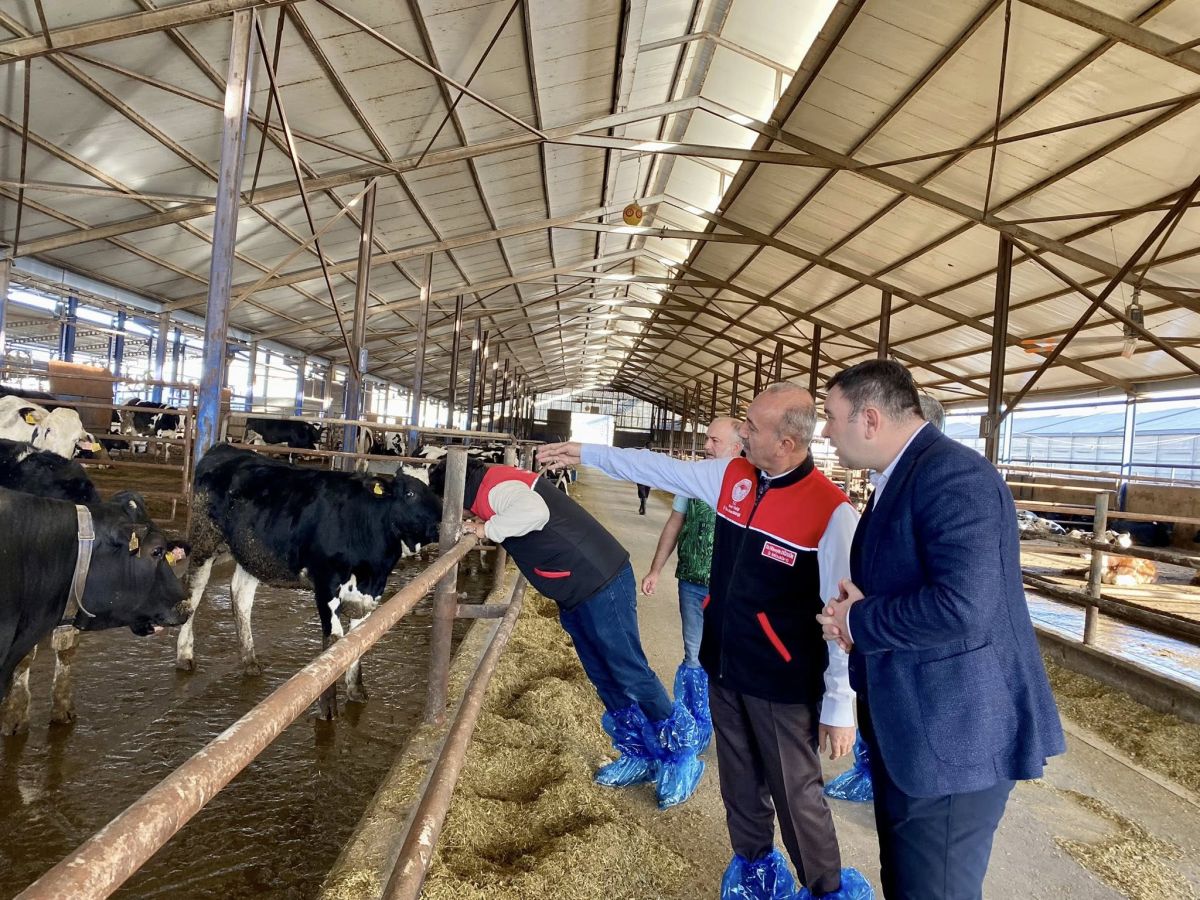 Balkesir’de Şap Tehlikesi Kapıya Dayandı! 585330974 1246600094177517 6770035274225194265 n - Marmara Bölge Gazetesi