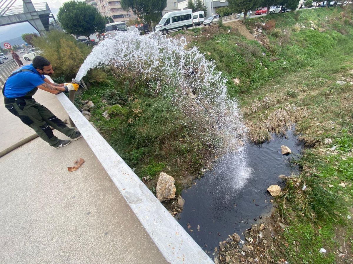 Edremit Belediyesi, Işık Yolu’ndaki köprü altında yaşayan su kaplumbağalarının kuraklık
