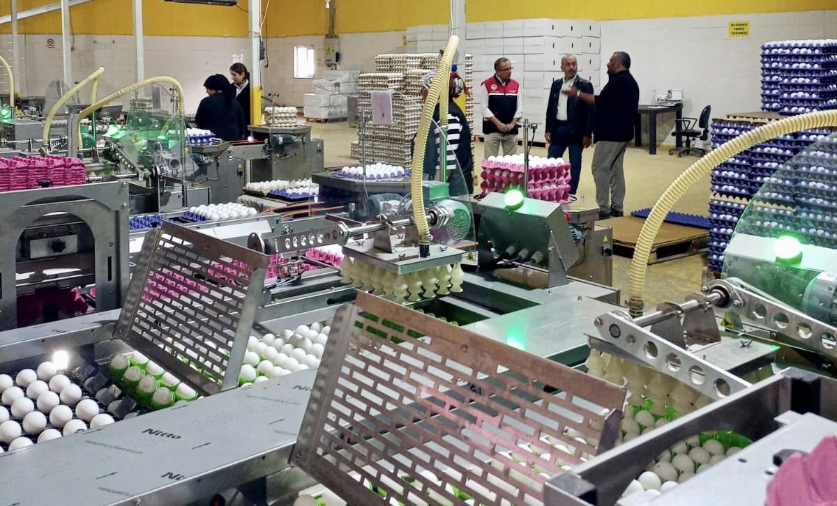 Savaştepe’de faaliyet gösteren yumurta üretim işletmesi, Balıkesir İl Tarım ve